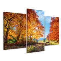 Karo-art Schilderij - Kleurrijke herfstbomen, 3 luik, premium print