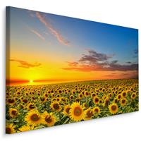 Karo-art Schilderij - Zonnebloemen veld bij zonsondergang, multi-gekleurd, 4 maten, premium print