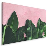 Karo-art Schilderij - Bananenblad op roze achtergrond, 4 maten, premium print