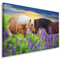 Karo-art Schilderij - Paarden in de wei, multi-gekleurd, 4 maten, Premium print