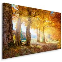 Karo-art Schilderij - Herfstbos, bruin/geel, 4 maten, premium print