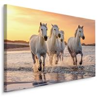 Karo-art Schilderij - Galopperende paarden op het strand, multi-gekleurd, 4 maten, wanddecoratie