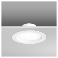 RZB 901697.002 - Downlight/spot/floodlight 1x18,39999999W 901697.002