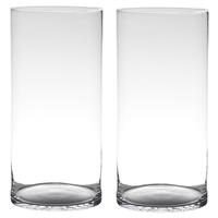 Merkloos Set van 2x stuks transparante home-basics cylinder vaas/vazen van glas x 19 cm -