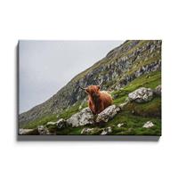 Walljar | Canvas schilderij Bruine Stier