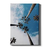 Walljar | Canvas schilderij Palm Sky