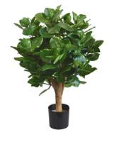 Clusia bol kunstplant 55 cm