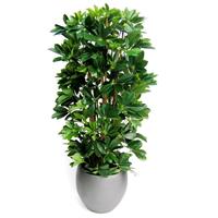 Schefflera kolom 120cm Kunstplant