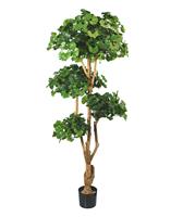 Ginko Bonsai deluxe kunstboom 170 cm