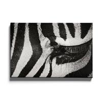 Walljar | Canvas schilderij Zebra Up Close