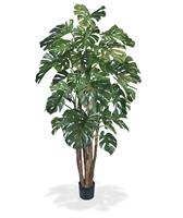 Monstera Giant deluxe kunstboom 210 cm