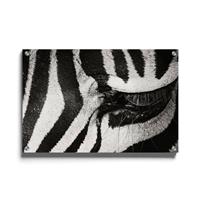 Walljar | Plexiglas schilderij Zebra Up Close