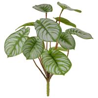 Pepperomia kunstplant RT 25cm