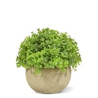 Mini Buxus kunstplant in pot 14cm - groen