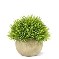maxifleur Künstliches Mini Bambusgras 14 cm grün in Topf