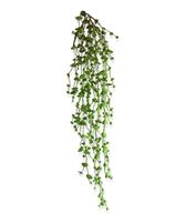 Erwten kunst hangplant 60cm - groen