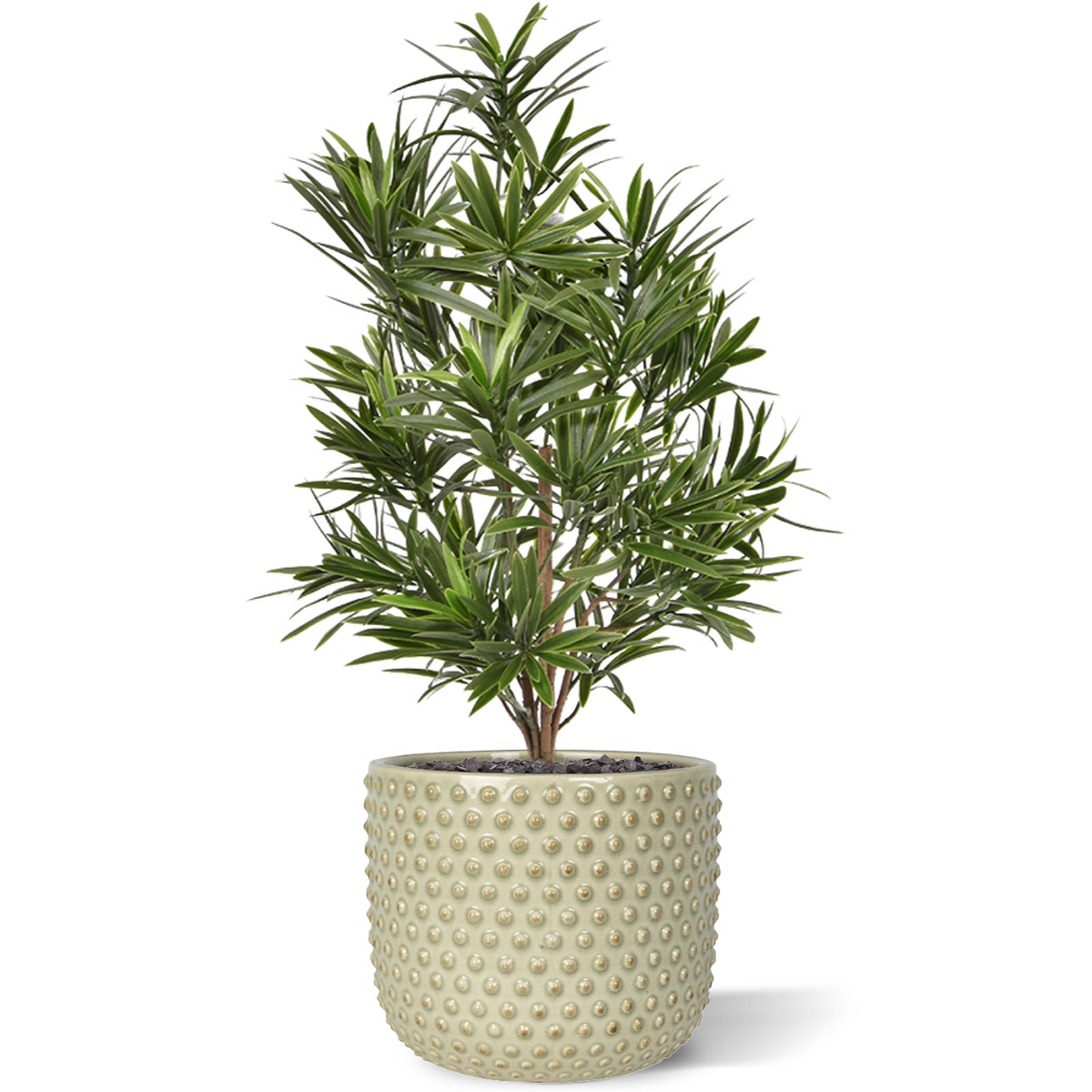 Podocarpus kunstboeket 50 cm UV