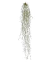 Tillandsia kunsthanger deluxe 120 cm