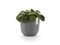 DCM Ecopots Bloempot Oslo Ø25cm - Grijs