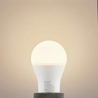 ARCCHIO LED-Lampe E27 A60 13,5W 3.000K opal
