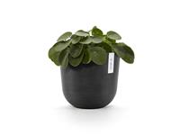 ECOPOTS Blumentopf "Oslo 25 Dunkelgrau", für innen und außen: frostsicher, bruchsicher und lichtbeständig