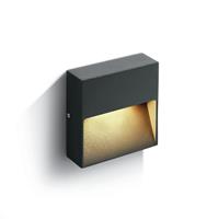 ONE Light Square Indoor/Outdoor Wall Dark Lights - buiten wandverlichting - 10 x 10 x 3 cm - 3W LED incl. - IP54 - antraciet