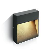 ONE Light Square Indoor/Outdoor Wall Dark Lights - buiten wandverlichting - 21,2 x 21,2 x 3,6 cm - 9W LED incl. - IP54 - antraciet