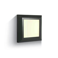 ONE Light Outdoor General Lighting - buiten wandverlichting - 12,4 x 2,7 x 12,4 cm - 3,5W LED incl. - IP65 - antraciet