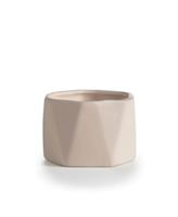 Illume Candles Illume Dylan Ceramic Coconut Milk Mango