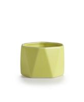 Illume Candles Illume Dylan Ceramic Pineapple Cilantro