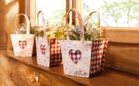 HOME Living Pflanz-Tasche SPAR-SET 3x Karoherz Blumentöpfe bunt