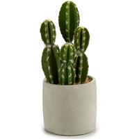 Ibergarden Kunstpflanze Cactus 12 X 28 Cm Keramik Grün/weiß