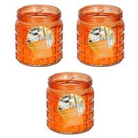 3x Stuks Citronella Kaarsen Tegen Insecten In Glazen Pot 12 Cm Oranje - Geurkaarsen