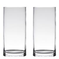 Bellatio Set Van 2x Stuks Transparante Home-basics Cylinder Vorm Vaas/vazen Van Glas 35 X 15 Cm - Vazen