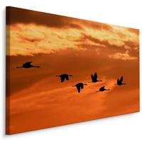 Karo-art Schilderij - Kraanvogels bij Zonsondergang, Premium Print