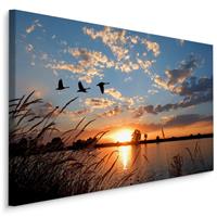 Karo-art Schilderij - Ganzen bij Zonsondergang, Premium Print