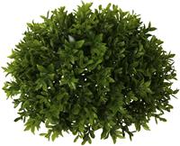 Creativ green Kunstplant Buxus halfrond