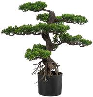 Creativ green Kunstbonsai Bonsai