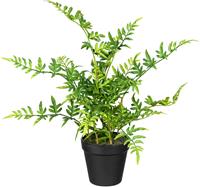 Creativ Green Künstliche Zimmerpflanze Japanischer Farn, (1 St.)