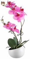 Creativ Green Kunstpflanze Orchidee, (1 St.)