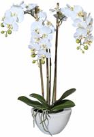 Creativ green Kunstpflanze "Mini Orchidee"