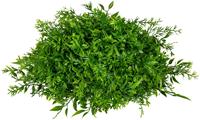 Creativ green Kunstplant Mixgras halve bol