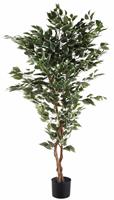 Creativ Green Kunstpflanze Ficus Benjamini, (1 St.)
