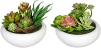 Creativ green Kunst-potplanten Vetplanten-arrangement in een cementpot, set van 2