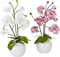 I.Ge.A. Kunstpflanze Orchidee, (Set, 2 St.)