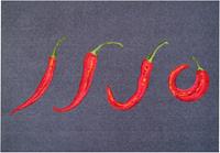 Grund Fußmatte Hot Chili, rechteckig, 8 mm Höhe, Schmutzfangmatte, Motiv Chilis, In- und Outdoor geeignet, waschbar