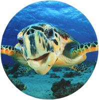 Sanilo Badematte Schildkröte, Höhe 15 mm, schnell trocknend, Memory Schaum