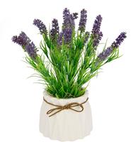 I.Ge.A. Kunstpflanze Lavendel, Im Keramiktopf