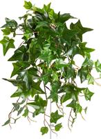 Botanic-Haus Künstliche Zimmerpflanze Efeu-Hängebusch mit 10 Stielen, (1 St.)