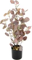 I.Ge.A. Kunstpflanze Eukalyptus, Im Topf, mit Natursteinchen